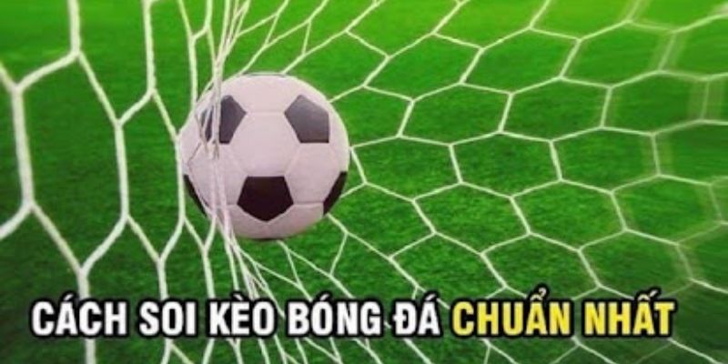 Bỏ túi bí kíp soi kèo online tại OK365 bất bại cho Newbie