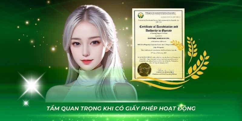 Tìm hiểu vai trò của các loại giấy phép hoạt động