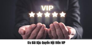 Đặc quyền hội viên VIP