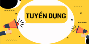Ok365 tuyển dụng